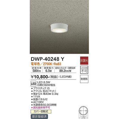 画像1: 大光電機(DAIKO)　DWP-40248Y　アウトドア 軒下シーリング LED内蔵 非調光 電球色 防雨形 拡散パネル付