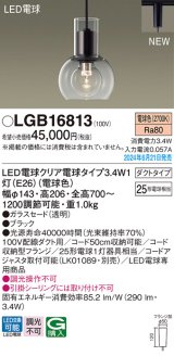 パナソニック LGB16813(ランプ同梱包) ペンダント LED(電球色) 配線ダクト取付型 ダクトタイプ ガラスセード LED電球交換型 ブラック