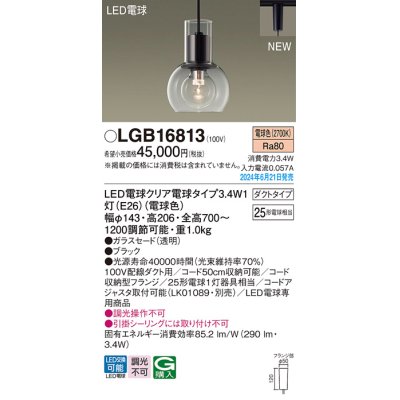 画像1: パナソニック LGB16813(ランプ同梱包) ペンダント LED(電球色) 配線ダクト取付型 ダクトタイプ ガラスセード LED電球交換型 ブラック