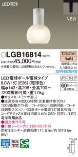 パナソニック LGB16814(ランプ同梱包) ペンダント LED(電球色) 配線ダクト取付型 ダクトタイプ ガラスセード LED電球交換型