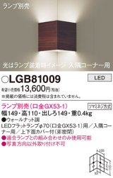 パナソニック　LGB81009　ブラケット 壁直付型 LED 入隅コーナー用 ツマミネジ方式 ウォールナット調 ランプ別売