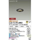 大光電機(DAIKO) LLD-7179LBB2 ダウンライト 埋込穴φ50 非調光 電球色 ビーム角50度 防雨形 黒