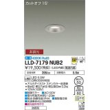 大光電機(DAIKO) LLD-7179NUB2 ダウンライト 埋込穴φ50 非調光 白色 ビーム角50度 防雨形 ステンカラー