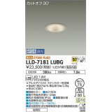 大光電機(DAIKO) LLD-7181LUBG ダウンライト 埋込穴φ75 位相調光(調光器別売) 電球色 ビーム角50度 防雨形 ステンカラー