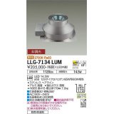 大光電機(DAIKO) LLG-7134LUM アウトドアライト グランドライト 非調光 電球色 ビーム角17度 中角形 防雨・防湿形 黒