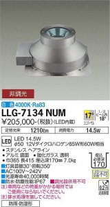 大光電機(DAIKO) LLG-7134NUM アウトドアライト グランドライト 非調光 白色 ビーム角17度 中角形 防雨・防湿形 ステンカラー