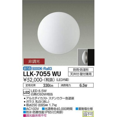 画像1: 大光電機(DAIKO) LLK-7055WU シーリングウォールライト 非調光 昼白色 全般拡散 φ250ドーム型 防雨・防湿形 ステンカラー