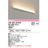 オーデリック　OB255227ER(灯体別梱)　間接照明 非調光 接続線別売 LED一体型 電球色