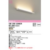 オーデリック　OB255229ER(灯体別梱)　間接照明 非調光 接続線別売 LED一体型 電球色