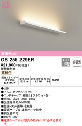 オーデリック　OB255229ER(灯体別梱)　間接照明 非調光 接続線別売 LED一体型 電球色