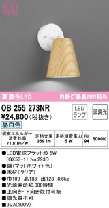 オーデリック　OB255273NR(ランプ別梱)　ブラケットライト 非調光 LEDランプ 昼白色 クリア