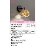 オーデリック　OB255314LR(ランプ別梱)　ブラケットライト 非調光 和風 LEDランプ 電球色 竹