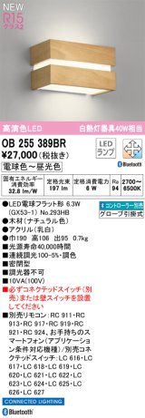 オーデリック OB255389BR(ランプ別梱) ブラケットライト 調光調色 Bluetooth リモコン別売 LED 電球色〜昼光色 高演色LED R15 ナチュラル