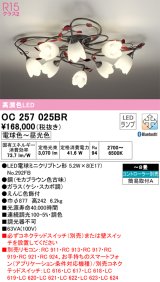 オーデリック　OC257025BR　シャンデリア 8畳 調光 調色 Bluetooth コントローラー別売 LEDランプ 電球色〜昼光色