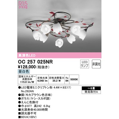 画像1: オーデリック　OC257025NR(ランプ別梱)　シャンデリア 8畳 非調光 LEDランプ 昼白色