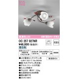 オーデリック　OC257027NR(ランプ別梱)　シャンデリア 非調光 LEDランプ 昼白色