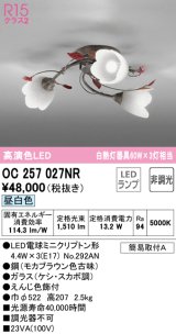 オーデリック　OC257027NR(ランプ別梱)　シャンデリア 非調光 LEDランプ 昼白色