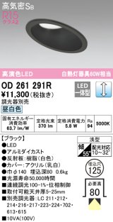 オーデリック　OD261291R　ダウンライト 傾斜天井用 LED一体型 調光 調光器別売 昼白色 高気密SB 埋込穴φ125 ブラック