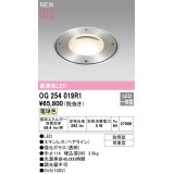 オーデリック OG254019R1 エクステリア グランドアップライト LED一体型 電球色 高演色LED R15 防雨型