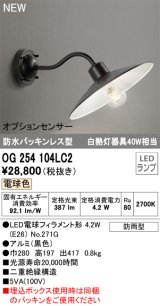 オーデリック OG254104LC2(ランプ別梱) エクステリア ポーチライト LED 電球色 防水パッキンレス型 防雨型 ブラック