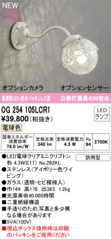 オーデリック OG254105LCR1(ランプ別梱) エクステリア ポーチライト LED 電球色 高演色LED R15 防水パッキンレス型 防雨型 アイボリー