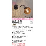 オーデリック OG254106LCR1(ランプ別梱) エクステリア ポーチライト LED 電球色 高演色LED R15 防水パッキンレス型 防雨型 鉄色