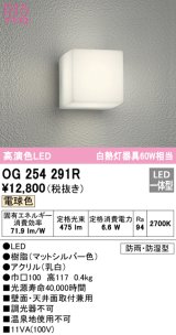 オーデリック　OG254291R　エクステリア ポーチライト LED一体型 電球色 防雨・防湿型 マットシルバー