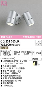 オーデリック　OG254565LR　エクステリア スポットライト LEDランプ 電球色 防雨型 マットシルバー