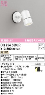 オーデリック　OG254569LR　エクステリア スポットライト LEDランプ 電球色 防雨型 オフホワイト