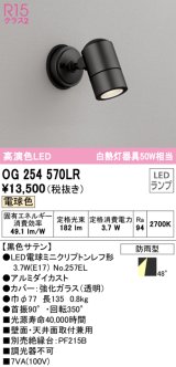 オーデリック　OG254570LR　エクステリア スポットライト LEDランプ 電球色 防雨型 黒色サテン