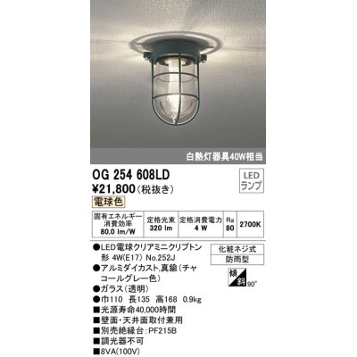 画像1: オーデリック　OG254608LD(ランプ別梱)　エクステリアポーチライト LED電球クリアミニクリプトン形 電球色 非調光