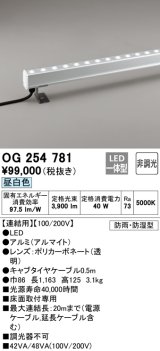 オーデリック　OG254781　間接照明 LED一体型 非調光 昼白色 防雨・防湿型 L1200タイプ