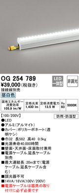 オーデリック　OG254789　間接照明 LED一体型 非調光 昼白色 接続線別売 防雨・防湿型 L600タイプ