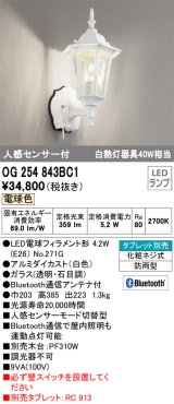 オーデリック　OG254843BC1　エクステリア ポーチライト Bluetooth タブレット別売 LEDランプ 電球色 人感センサー付 防雨型 ホワイト