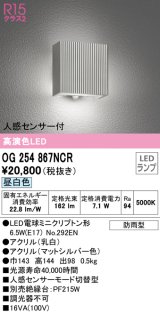 オーデリック　OG254867NCR(ランプ別梱)　エクステリア ポーチライト LEDランプ 昼白色 人感センサー付 防雨型 マットシルバー