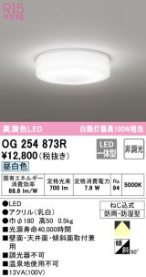 オーデリック　OG254873R　バスルームライト 非調光 LED一体型 昼白色防雨・防湿型