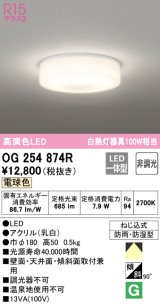 オーデリック　OG254874R　バスルームライト 非調光 LED一体型 電球色防雨・防湿型