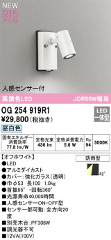 オーデリック OG254919R1 エクステリア スポットライト LED一体型 昼白色 高演色LED R15 人感センサー付 防雨型 オフホワイト