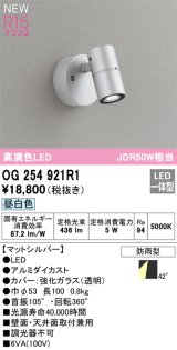 オーデリック OG254921R1 エクステリア スポットライト LED一体型 昼白色 高演色LED R15 防雨型 マットシルバー