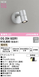 オーデリック OG254922R1 エクステリア スポットライト LED一体型 電球色 高演色LED R15 防雨型 マットシルバー