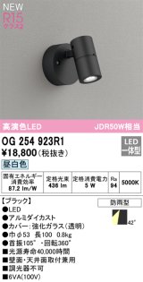 オーデリック OG254923R1 エクステリア スポットライト LED一体型 昼白色 高演色LED R15 防雨型 ブラック