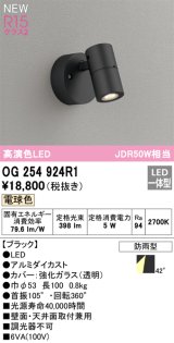 オーデリック OG254924R1 エクステリア スポットライト LED一体型 電球色 高演色LED R15 防雨型 ブラック