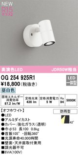 オーデリック OG254925R1 エクステリア スポットライト LED一体型 昼白色 高演色LED R15 防雨型 オフホワイト