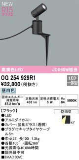 オーデリック OG254929R1 エクステリア スポットライト LED一体型 昼白色 高演色LED R15 防雨型 ブラック