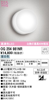 オーデリック　OG254981NR(ランプ別梱)　エクステリア ポーチライト LEDランプ 昼白色 防雨・防湿型 マットホワイト