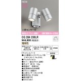 オーデリック OG264230LR(ランプ別梱) エクステリア スポットライト LED 電球色 高演色LED R15 人感センサー付 フラッシュ機能付 防雨型 マットシルバー