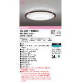 オーデリック　OL251120BCR　シーリングライト 10畳 調光 調色 Bluetooth リモコン別売 LED一体型 電球色〜昼光色 エボニーブラウン [♭]