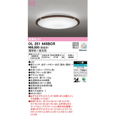 画像1: オーデリック　OL251445BCR　シーリングライト 12畳 調光 調色 Bluetooth リモコン別売 LED一体型 電球色〜昼光色 エボニーブラウン [♭]