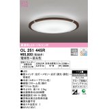 オーデリック　OL251445R　シーリングライト 12畳 調光 調色 リモコン付属 LED一体型 電球色〜昼光色 エボニーブラウン [♭]