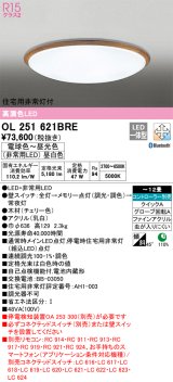 オーデリック　OL251621BRE　シーリングライト 12畳 調光 調色 Bluetooth コントローラー別売 LED一体型 電球色〜昼光色 住宅用非常灯付 チェリー